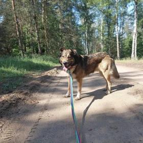 Wyjątkowy Erni szuka wyjątkowego domu 