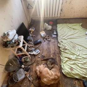 Ta historia nie mogła się dobrze skończyć.