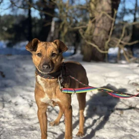 Enya - wymarzona przyjaciółka Twojej rodziny!