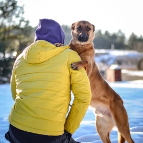 Ziomek poleca się do adopcji 