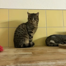 Sekcja Młodzieżowa 2025