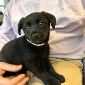 Barbie - zakochasz się od pierwszego spojrzenia