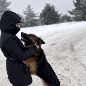 Rexa - owczarka z potencjałem 