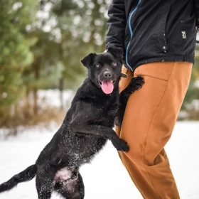 Krejzol do pokochania