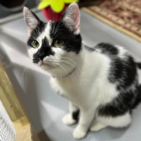 Bierka - brakujący element Twojej rodziny!