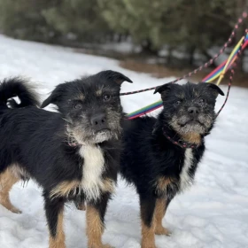 Wyjątkowi bracia liczą na drugą szansę od losu