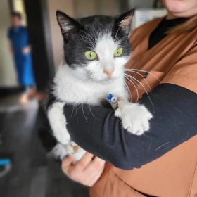 Nie pozwól by Lucek wrócił na ulice 💔