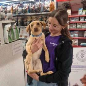 Waleczna Florka szuka domu 