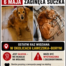 Zaginęła