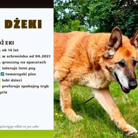 Dżeki