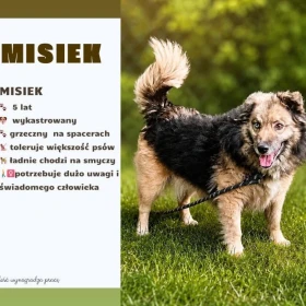 Misiek (Fafik)