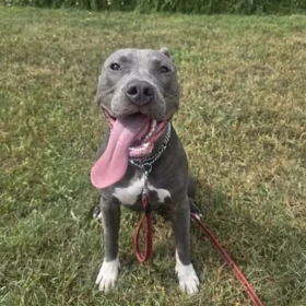 Tyson