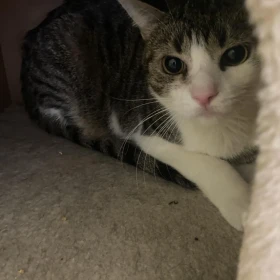 Sekcja Młodzieżowa