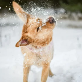 Zgredek - tylko na niego spójrzcie, a od razu się zakochacie! 