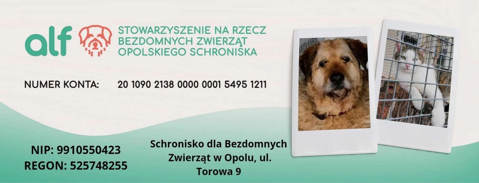 Schronisko dla Zwierząt w Opolu