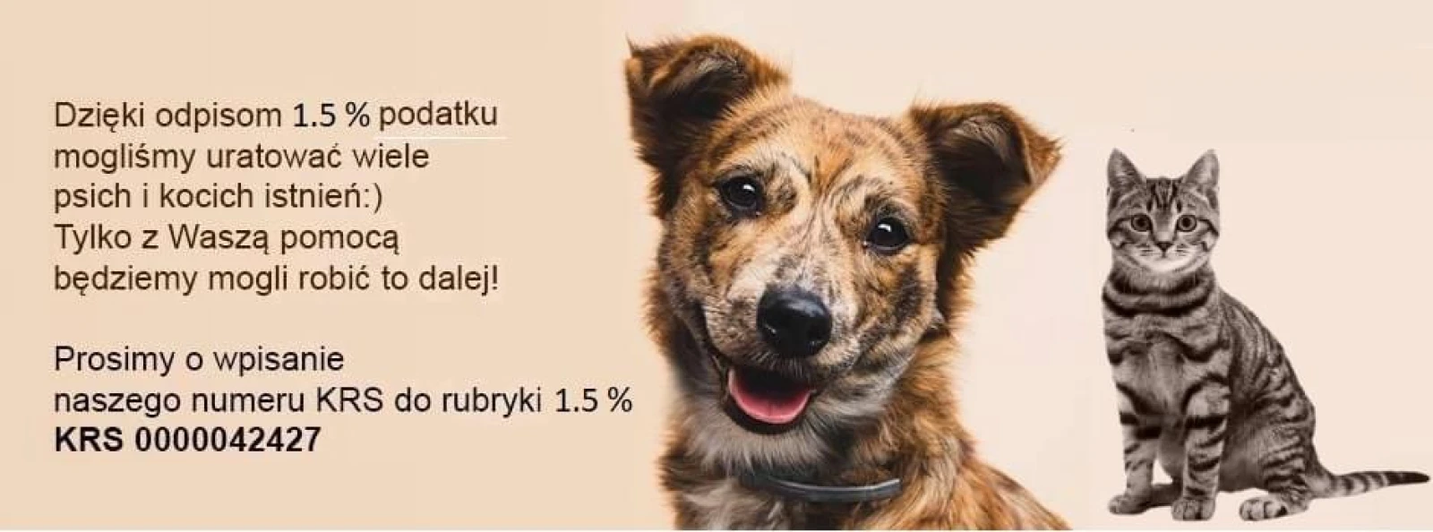 Reksio - Schronisko dla Zwierząt w Brodnicy