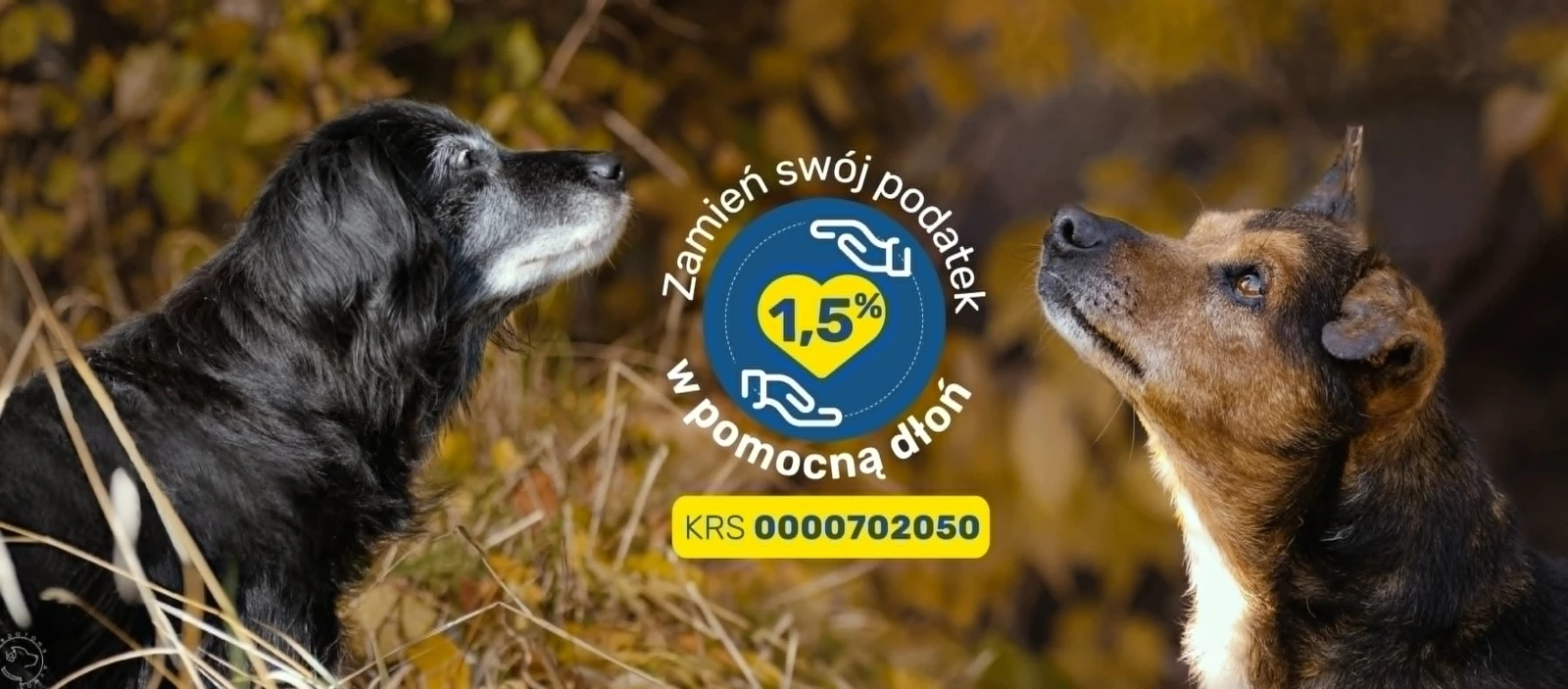 Stowarzyszenie Psi Głos