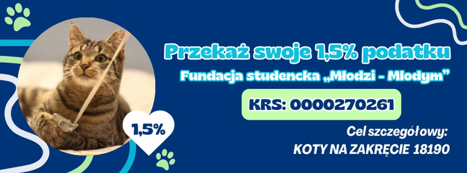 Fundacja Koty Na Zakręcie