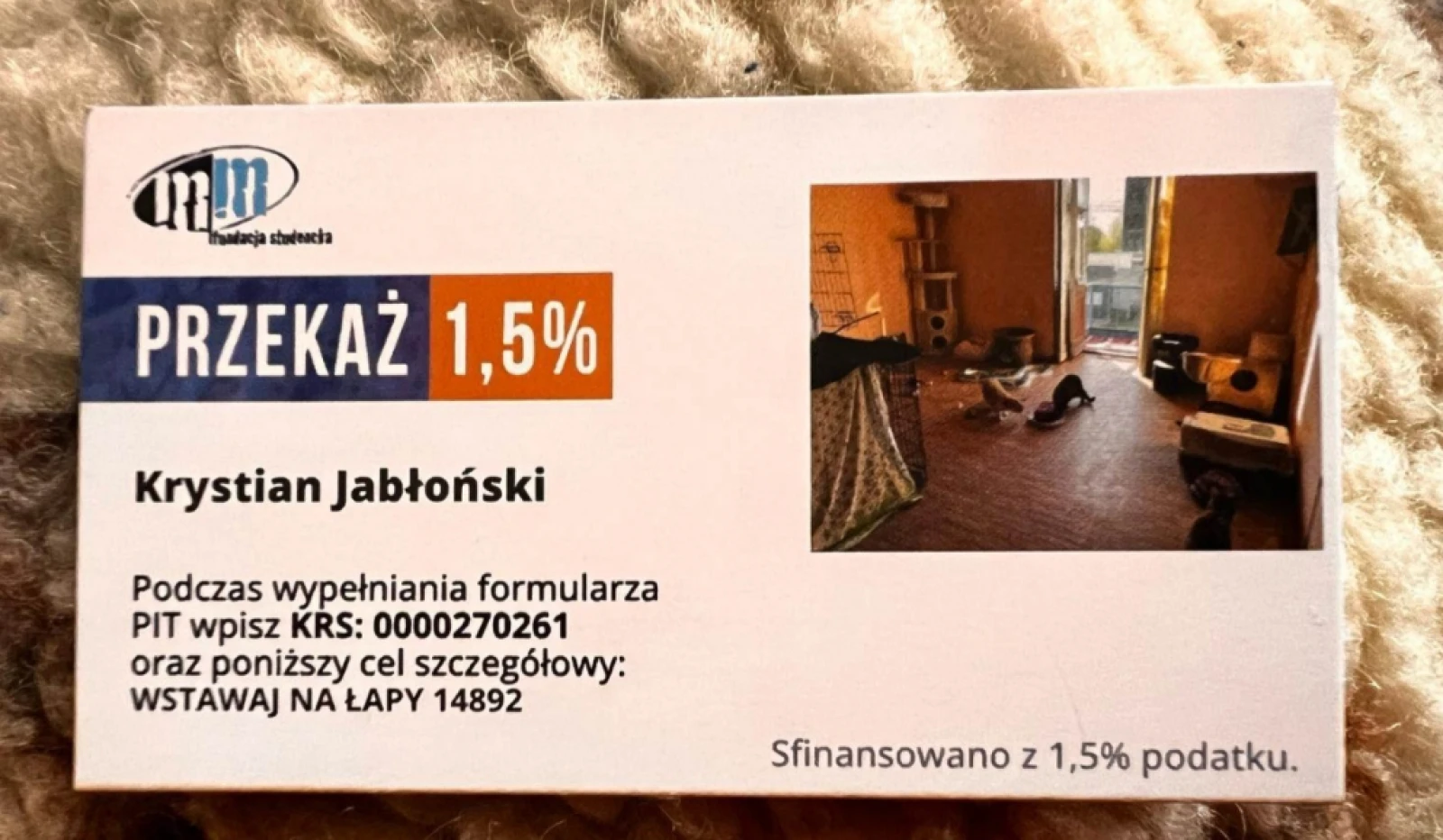 DT "Wstawaj na Łapy"