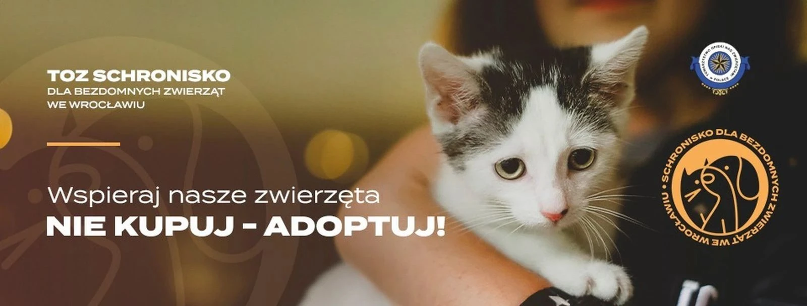 Schronisko dla Bezdomnych Zwierząt we Wrocławiu